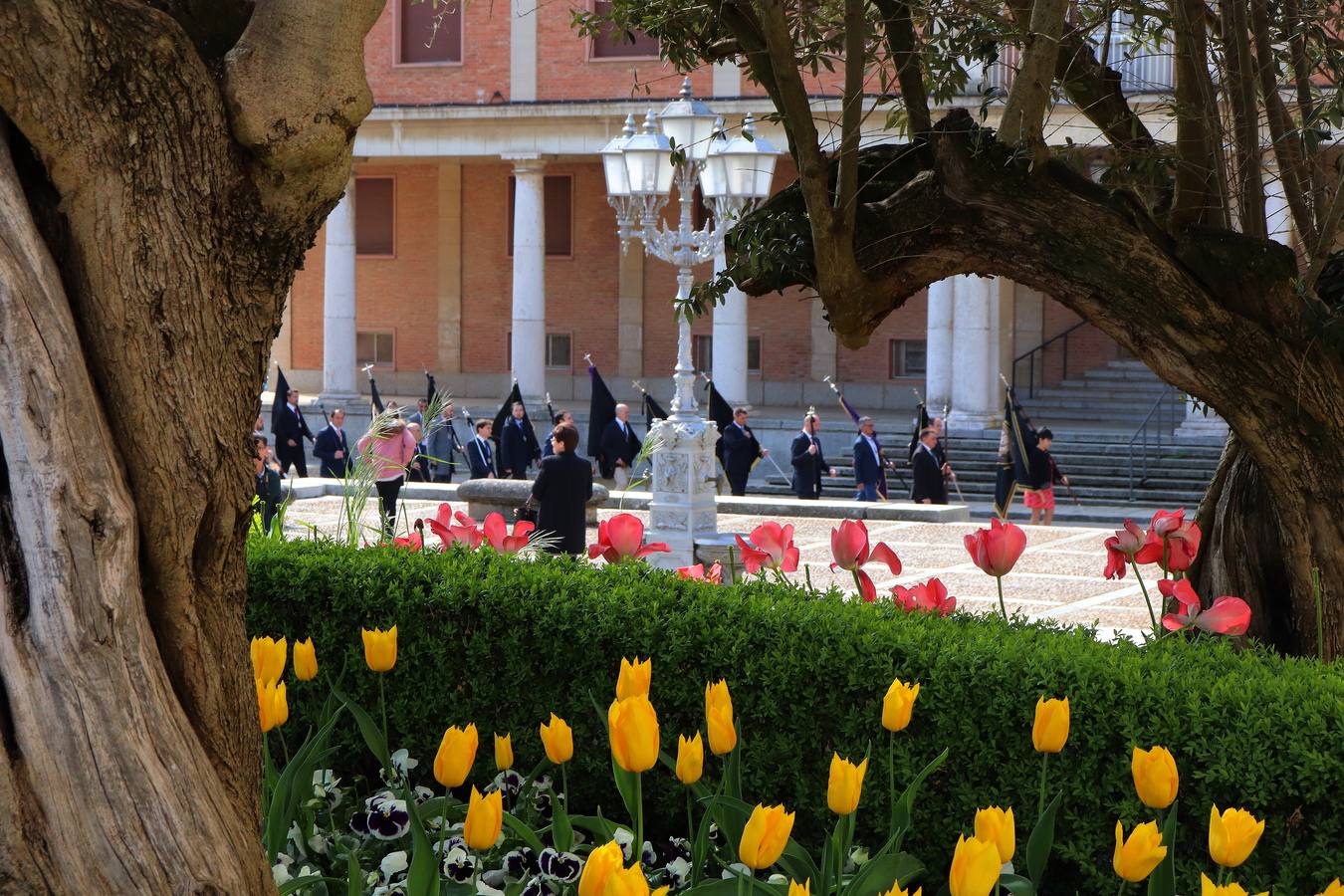 Fotos: Procesión de Cristo Resucitado y el Santo Encuentro en Medina de Rioseco