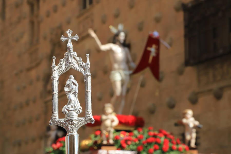 Fotos: Procesión del Encuentro entre la Virgen de la Alegría y Jesús Resucitado en Salamanca