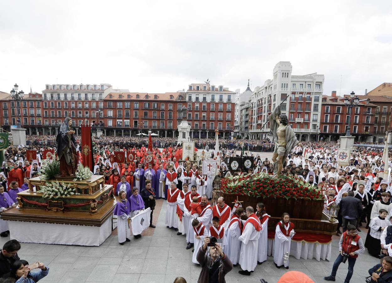 Fotos: Procesión del Encuentro de Jesús Resucitado con la Virgen de la Alegría en Valladolid (2/2)