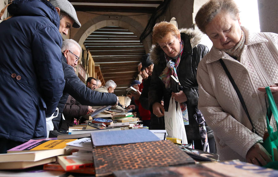 Fotos: Celebración del Día del Libro en Segovia