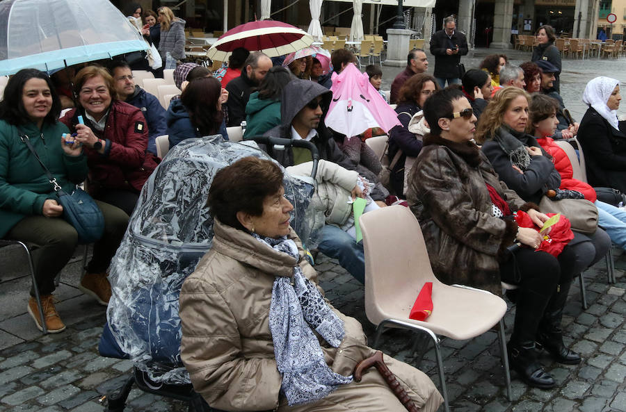 Fotos: Celebración del Día del Libro en Segovia