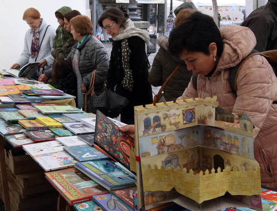 Fotos: Celebración del Día del Libro en Segovia