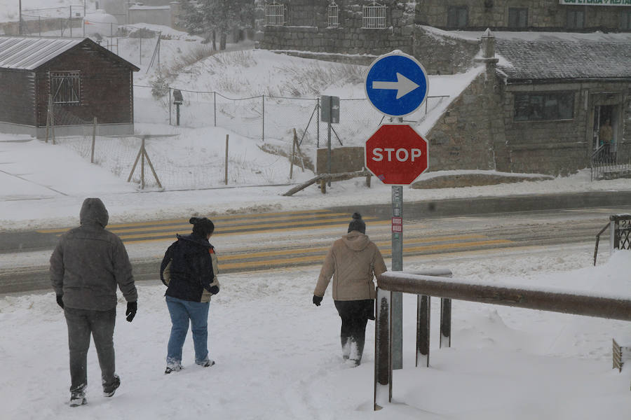 Fotos: Nieve y ventisca en el puerto de Navacerrada