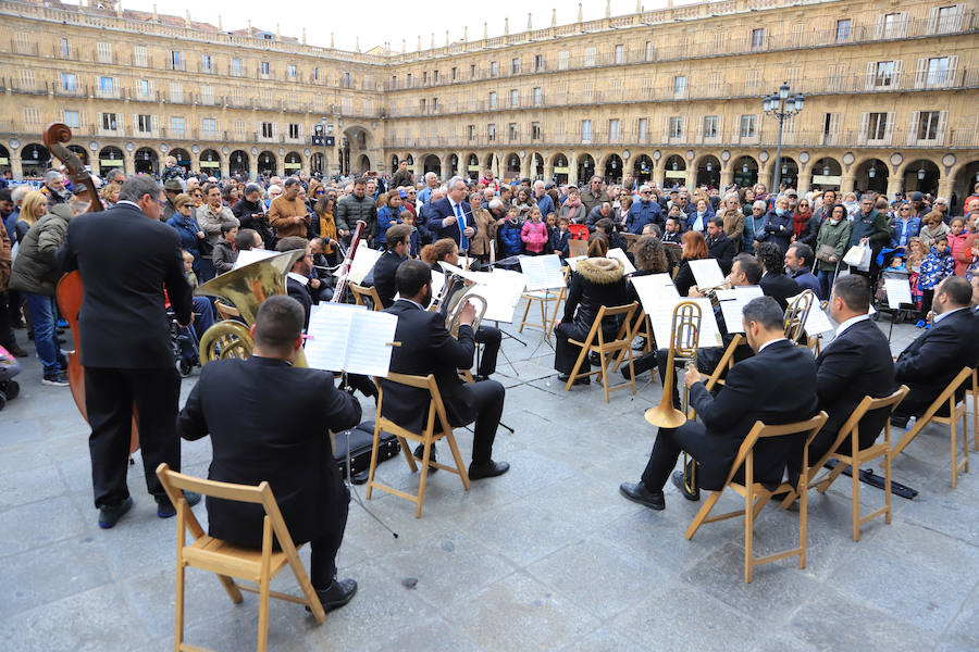 Fotos: Miles de Libros invaden la Plaza Mayor de Salamanca