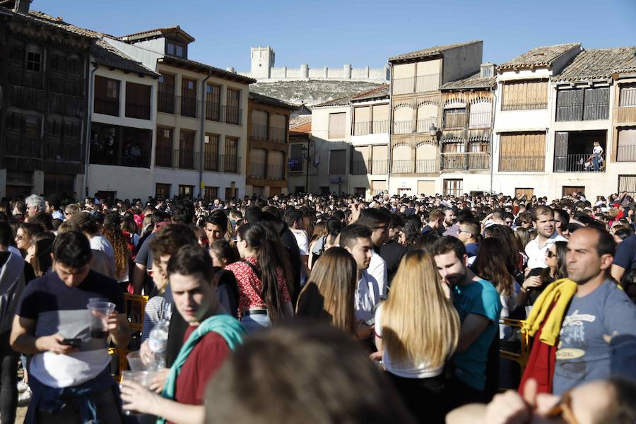 Fotos: Joranada del sábado en la Concentración de Charangas de Peñafiel (2/2)