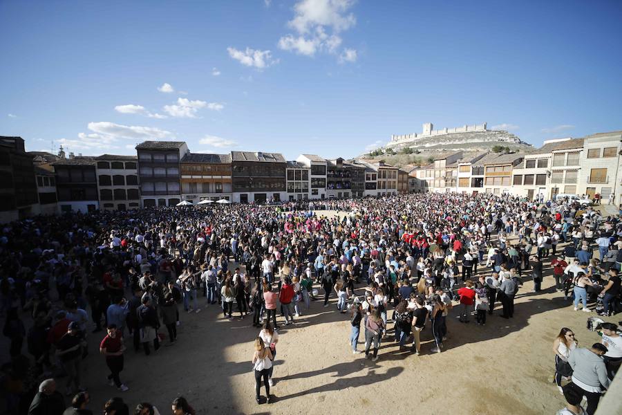 Fotos: Joranada del sábado en la Concentración de Charangas de Peñafiel (2/2)