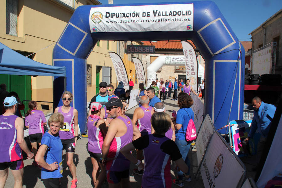 Ni la jornada electoral ha restado participación a la tercera prueba del Circuito de las Cinco Leguas Mayte Martínez de Diputación de Valladolid, que este domingo se ha disputado en Rábano con más de 250 participantes.