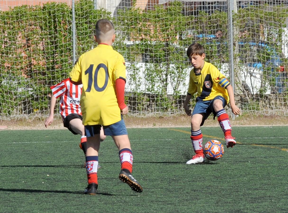 Fotos: Deporte Base del 27 y 28 de abril. Valladolid