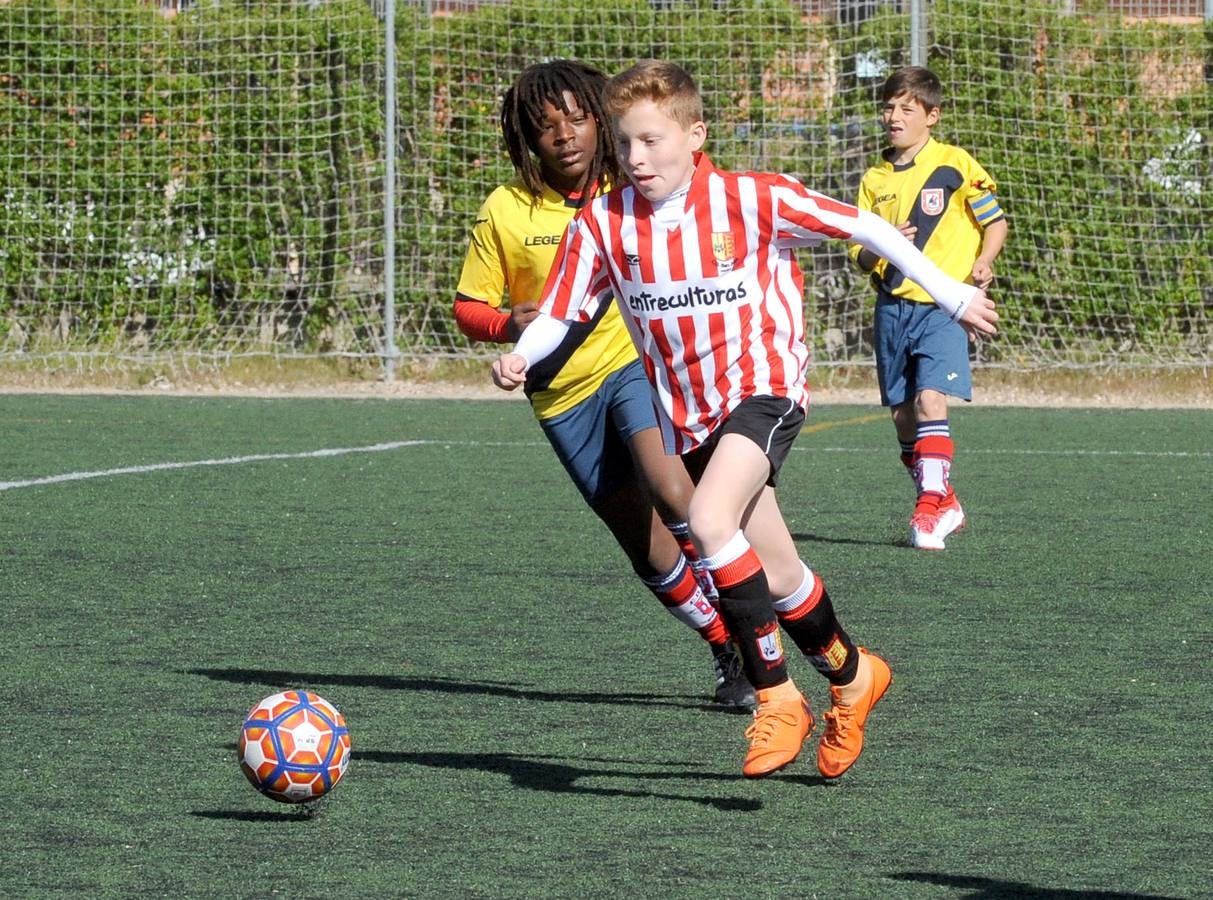 Fotos: Deporte Base del 27 y 28 de abril. Valladolid