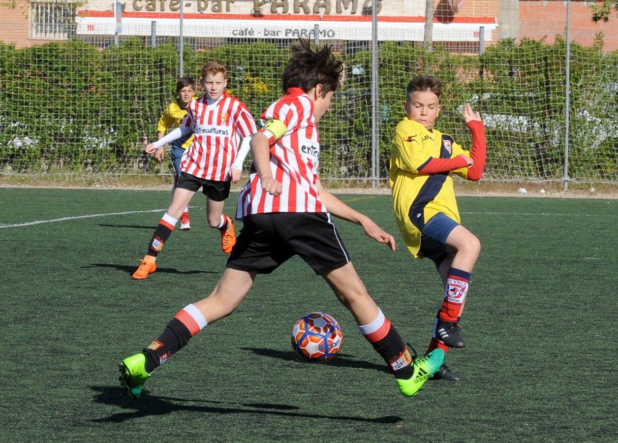 Fotos: Deporte Base del 27 y 28 de abril. Valladolid
