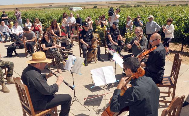 Concierto de miembros de la Orquesta Sinfónica de Castilla y León para perros en la bodega Liberalia de Toro, Zamora. 