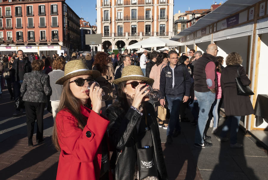 Fotos: Primera cata de &#039;Valladolid, Plaza Mayor del Vino&#039;