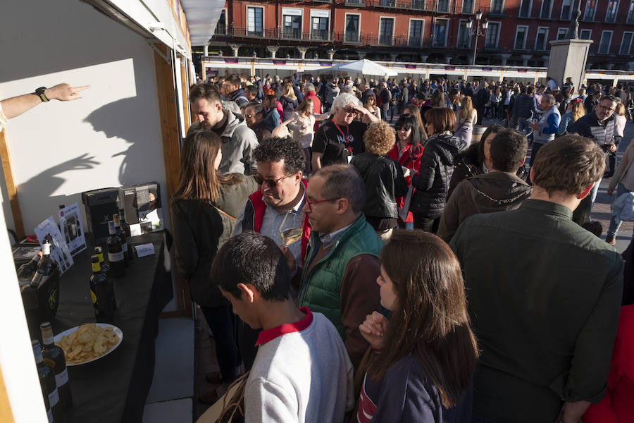 Fotos: Primera cata de &#039;Valladolid, Plaza Mayor del Vino&#039;