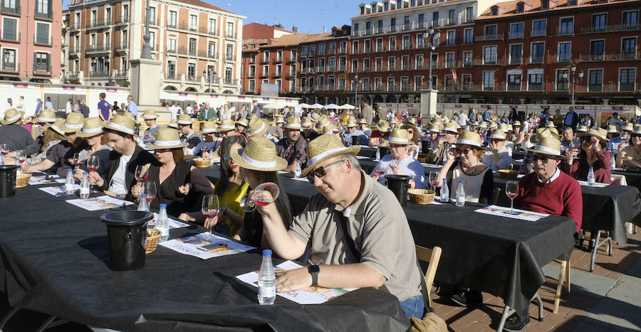 Fotos: Jornada del sábado por la tarde de &#039;Valladolid, Plaza Mayor del Vino&#039;