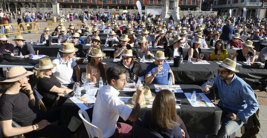 Fotos: Jornada del sábado por la tarde de &#039;Valladolid, Plaza Mayor del Vino&#039;