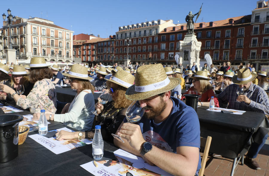 Fotos: Jornada del sábado por la tarde de &#039;Valladolid, Plaza Mayor del Vino&#039;