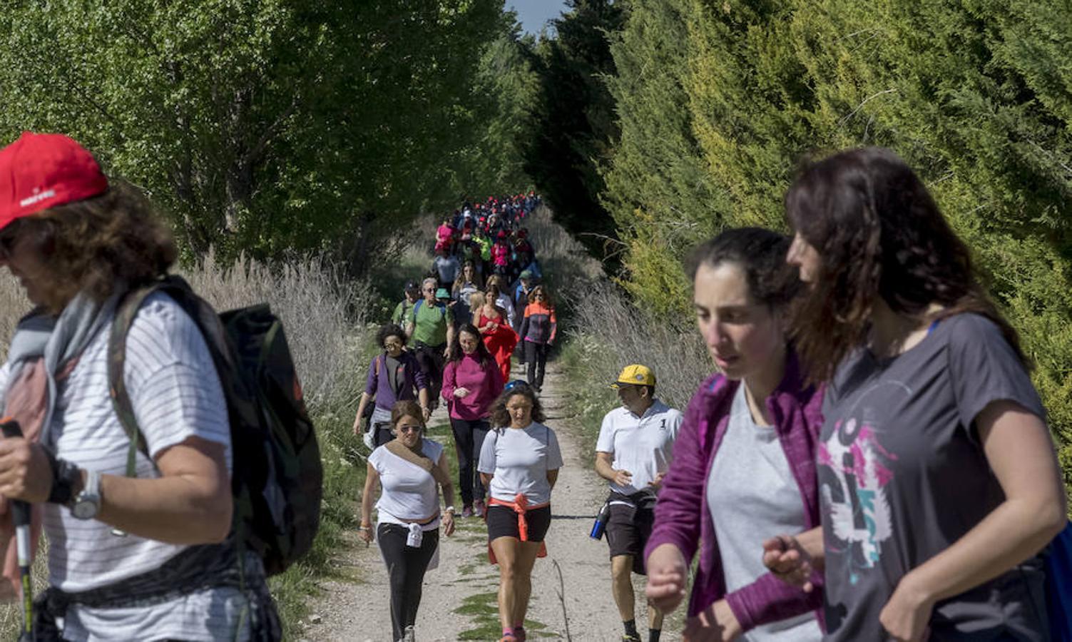 Participantes en la 42 edición de la Marcha Asprona en Valladolid