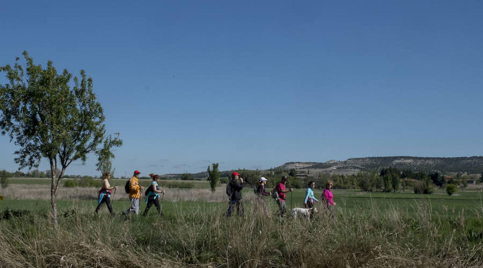 Participantes en la 42 edición de la Marcha Asprona en Valladolid