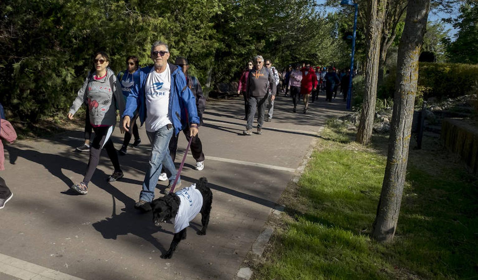 Participantes en la 42 edición de la Marcha Asprona en Valladolid
