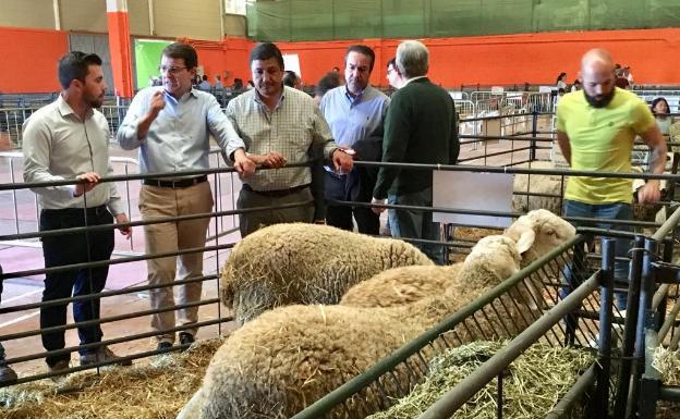 Fernández Mañueco visita la Feria Agroalimentaria de Candeleda junto al presidente de la Diputación, Carlos García, y el candidato popular a la alcaldía de Candeleda. 