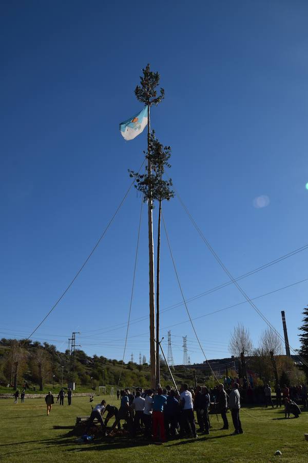 Fotos: Pinada del Mayo en Velilla del Río Carrión