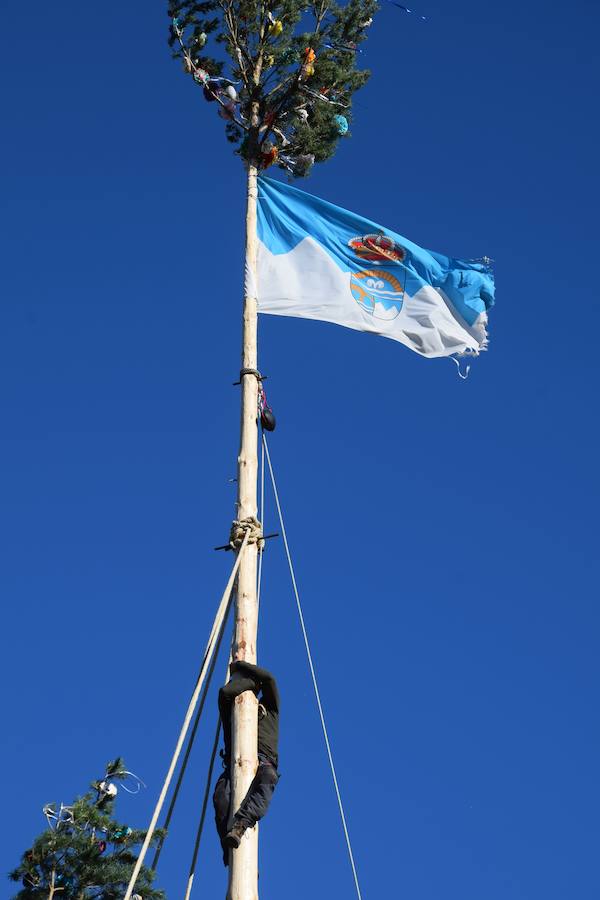 Fotos: Pinada del Mayo en Velilla del Río Carrión