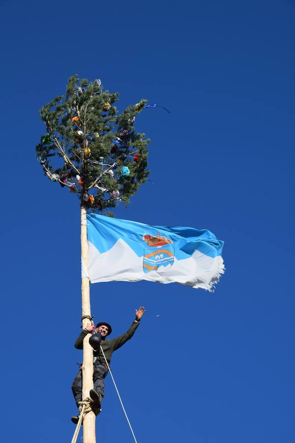 Fotos: Pinada del Mayo en Velilla del Río Carrión