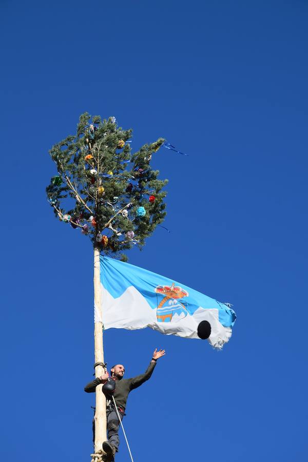 Fotos: Pinada del Mayo en Velilla del Río Carrión