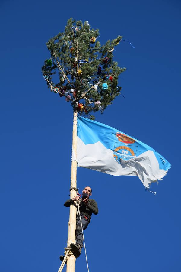 Fotos: Pinada del Mayo en Velilla del Río Carrión