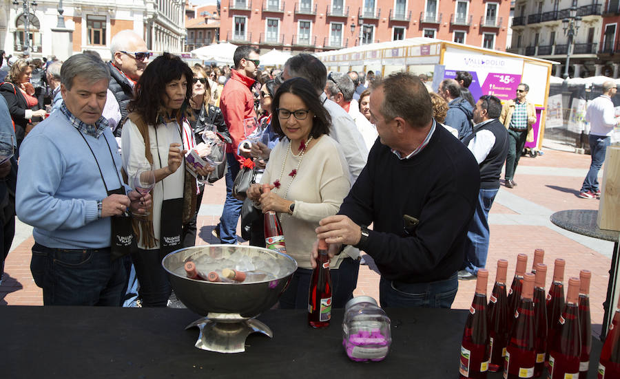 Fotos: Jornada del domingo en &#039;Valladolid, Plaza Mayor del Vino&#039;
