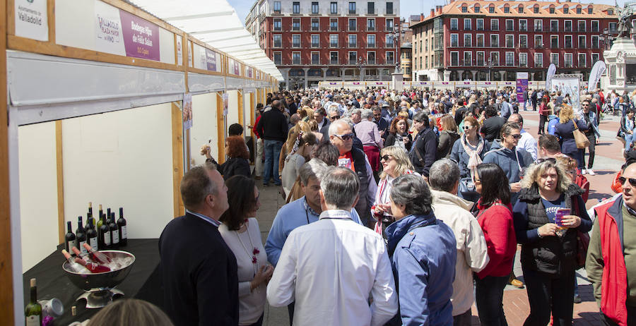 Fotos: Jornada del domingo en &#039;Valladolid, Plaza Mayor del Vino&#039;