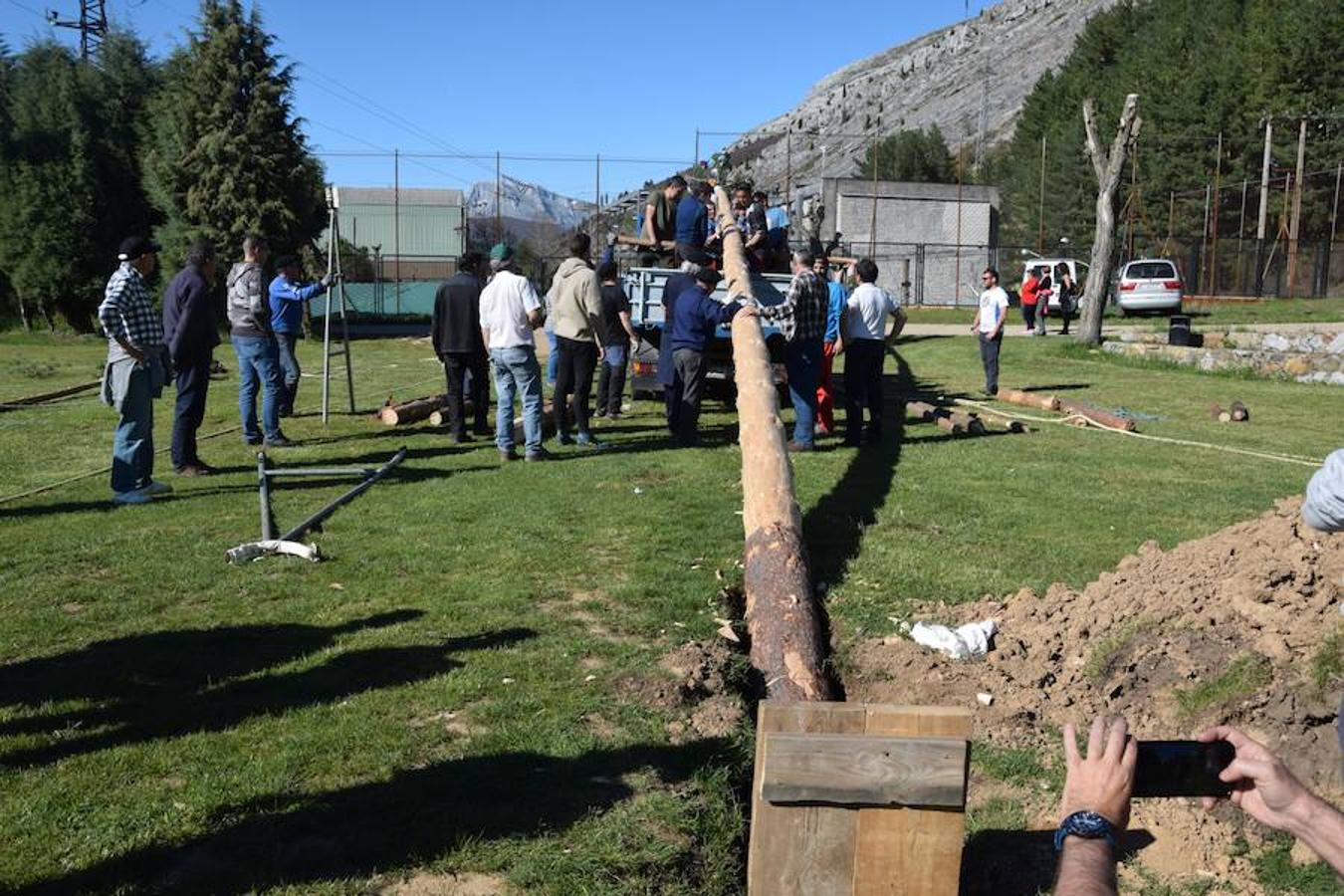 Fotos: Pinada del Mayo en Velilla del Río Carrión
