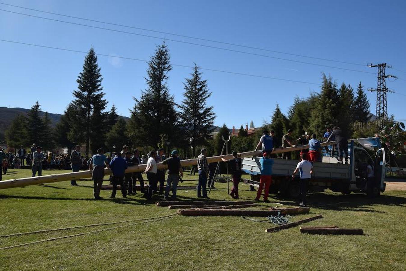 Fotos: Pinada del Mayo en Velilla del Río Carrión