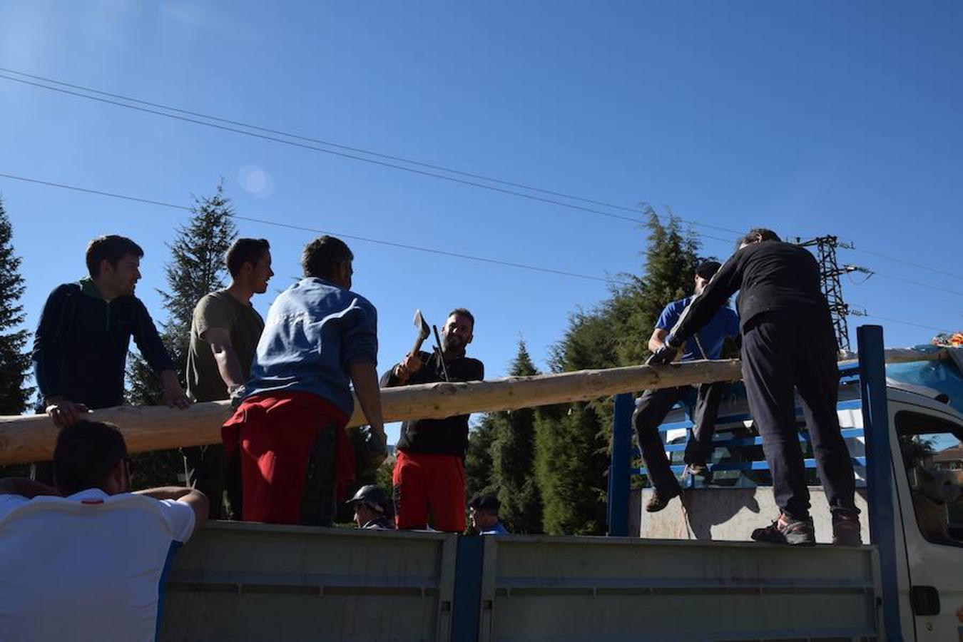 Fotos: Pinada del Mayo en Velilla del Río Carrión