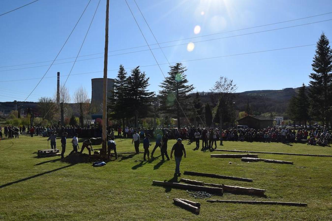 Fotos: Pinada del Mayo en Velilla del Río Carrión