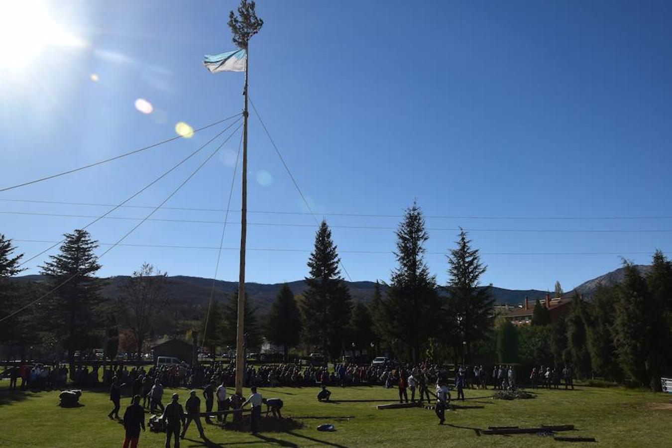 Fotos: Pinada del Mayo en Velilla del Río Carrión