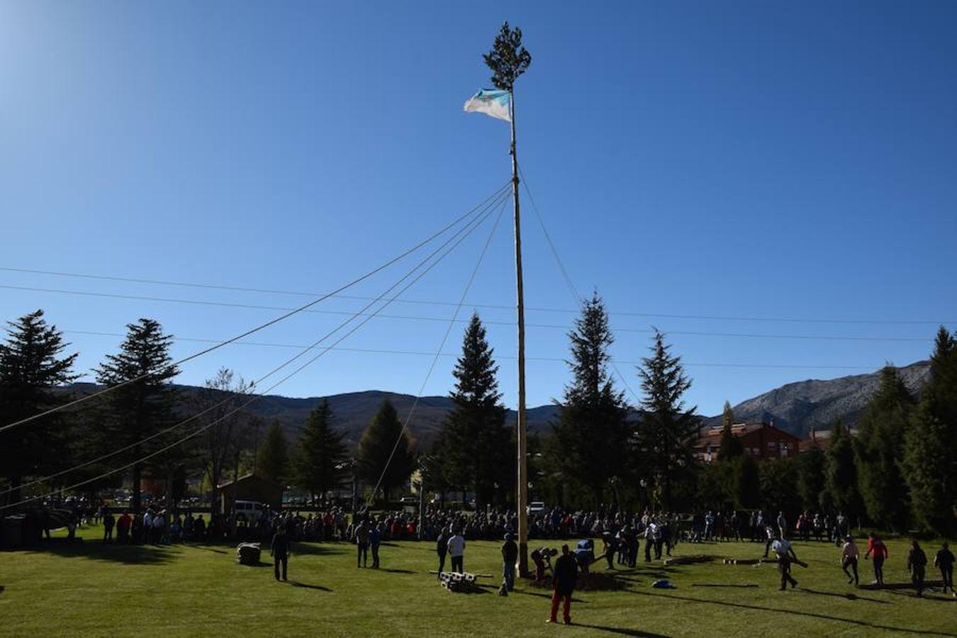 Fotos: Pinada del Mayo en Velilla del Río Carrión
