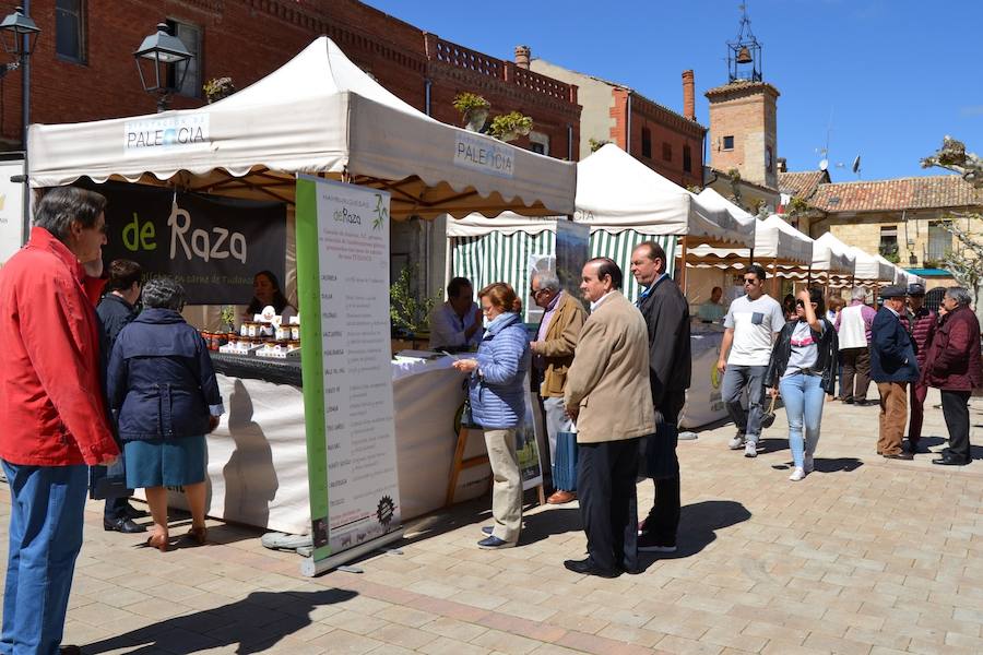 Fotos: Astudillo disfruta de la fiesta de Torre Marte