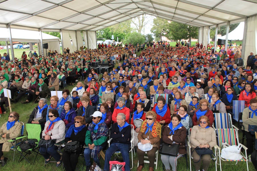 Fotos: Encuentro de participantes en las aulas de manualidades de la Diputación de Segovia.