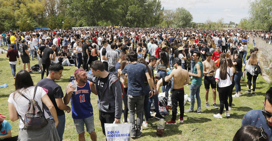 Fotos: Palencia vive una multitudinaria fiesta de la ITA (2/3)