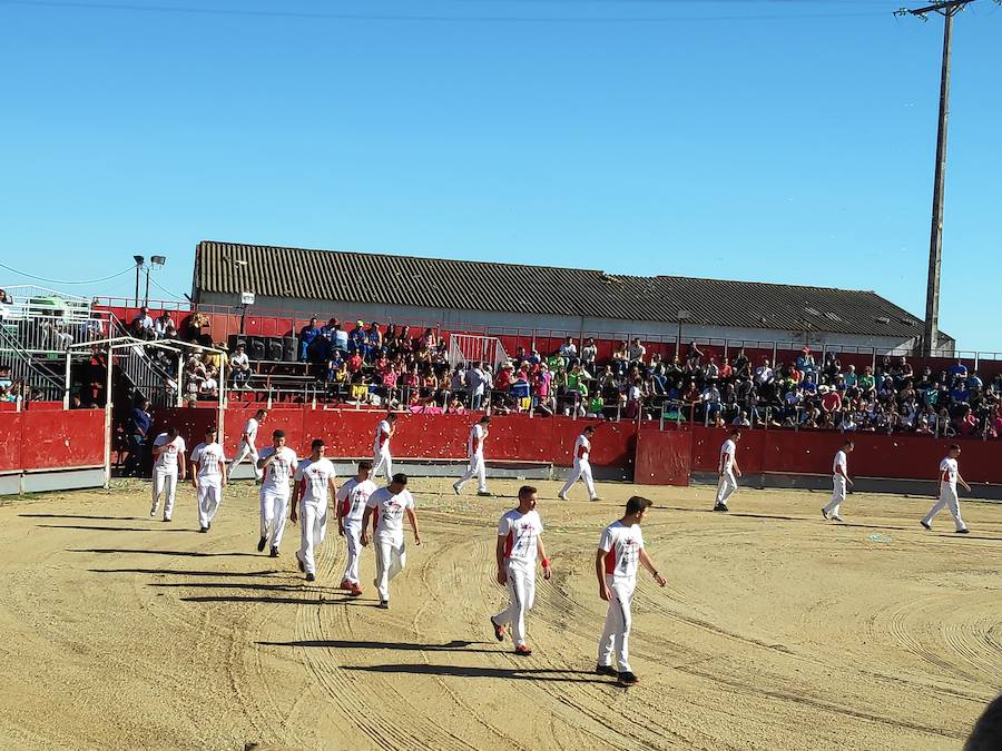 Fotos: Liga de Corte Puro en Valdestillas