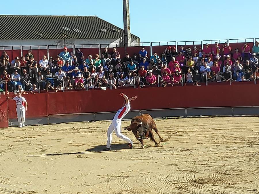 Fotos: Liga de Corte Puro en Valdestillas