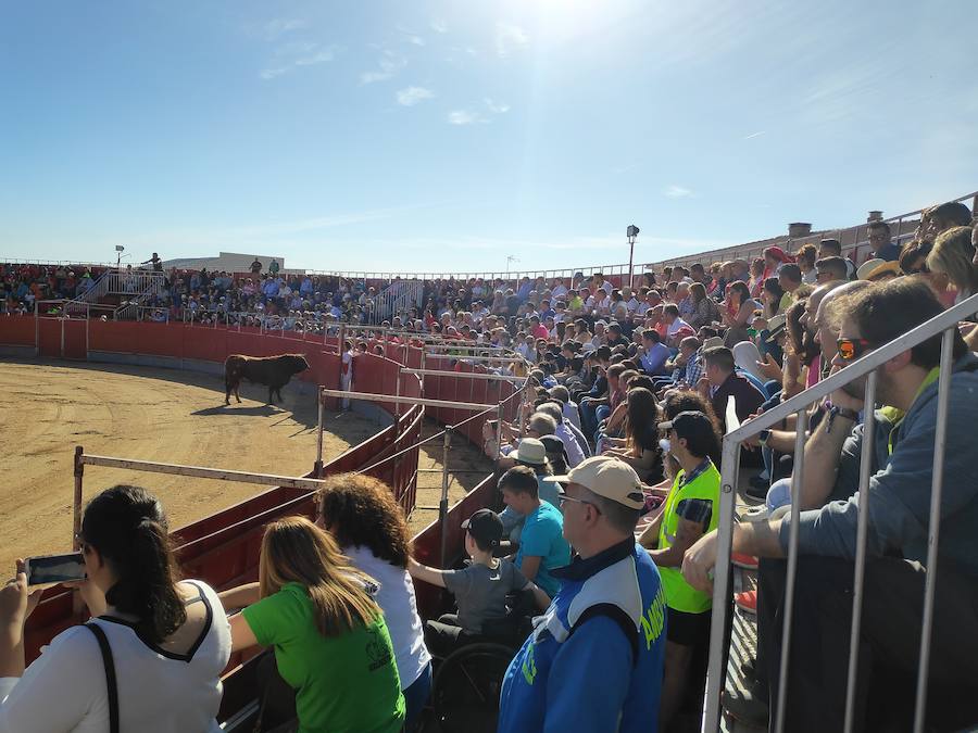Fotos: Liga de Corte Puro en Valdestillas