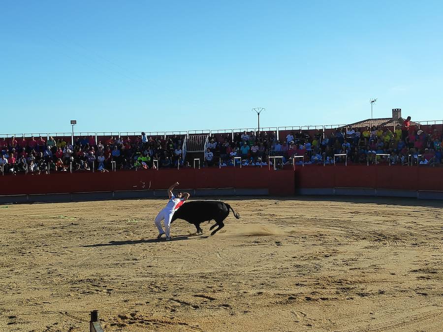 Fotos: Liga de Corte Puro en Valdestillas