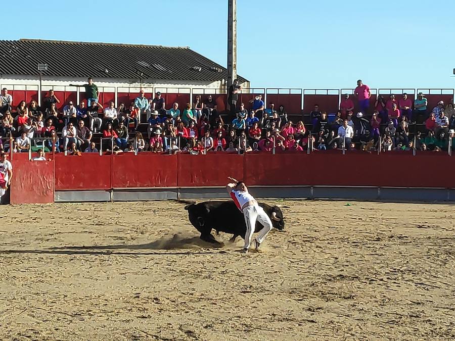 Fotos: Liga de Corte Puro en Valdestillas