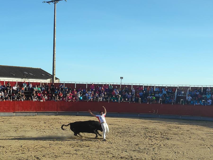 Fotos: Liga de Corte Puro en Valdestillas
