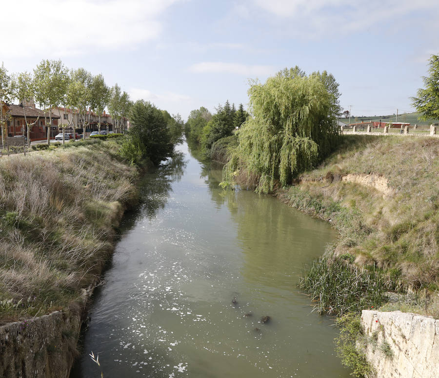 Fotos: Palencia se entrega a la marcha Aspanis