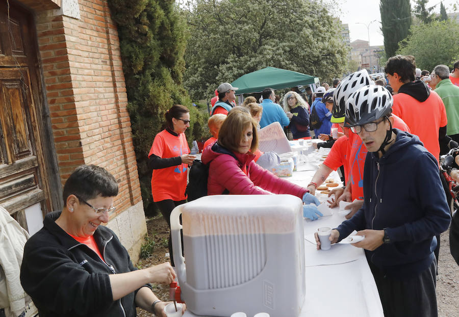 Fotos: Palencia se entrega a la marcha Aspanis