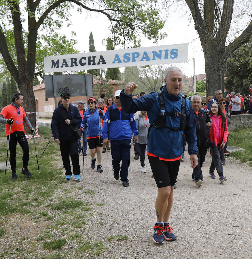 Fotos: Palencia se entrega a la marcha Aspanis