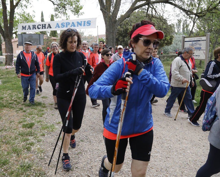 Fotos: Palencia se entrega a la marcha Aspanis